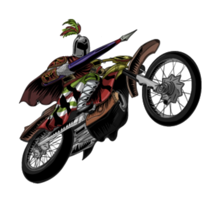 The Sentinel Rider